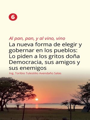 cover image of Al pan, pan, y al vino, vino 6